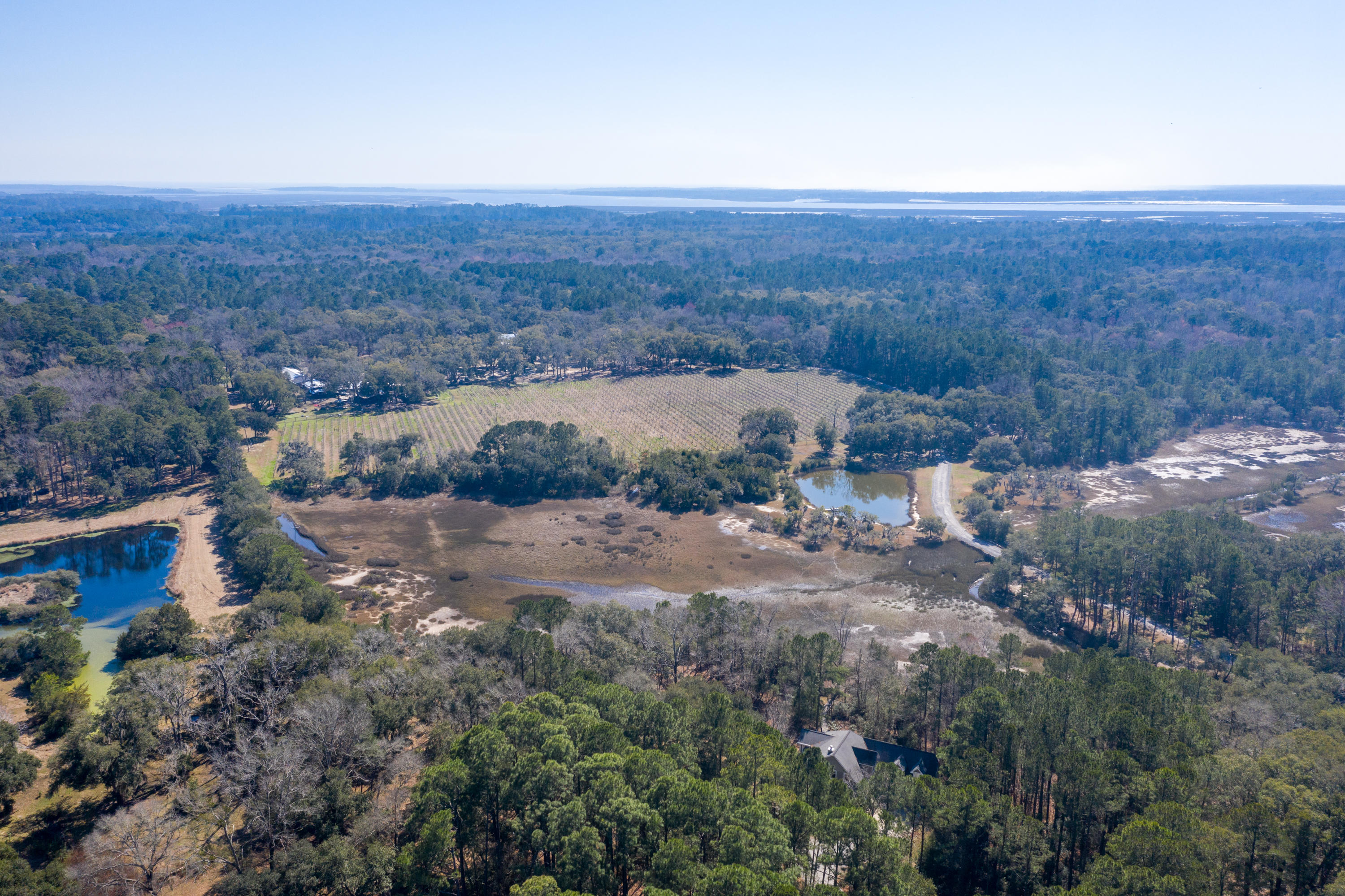 6765 Bears Bluff Road Wadmalaw Island, SC 29487 - Photo 53 of 58 6765 Bears Bluff Rd-67