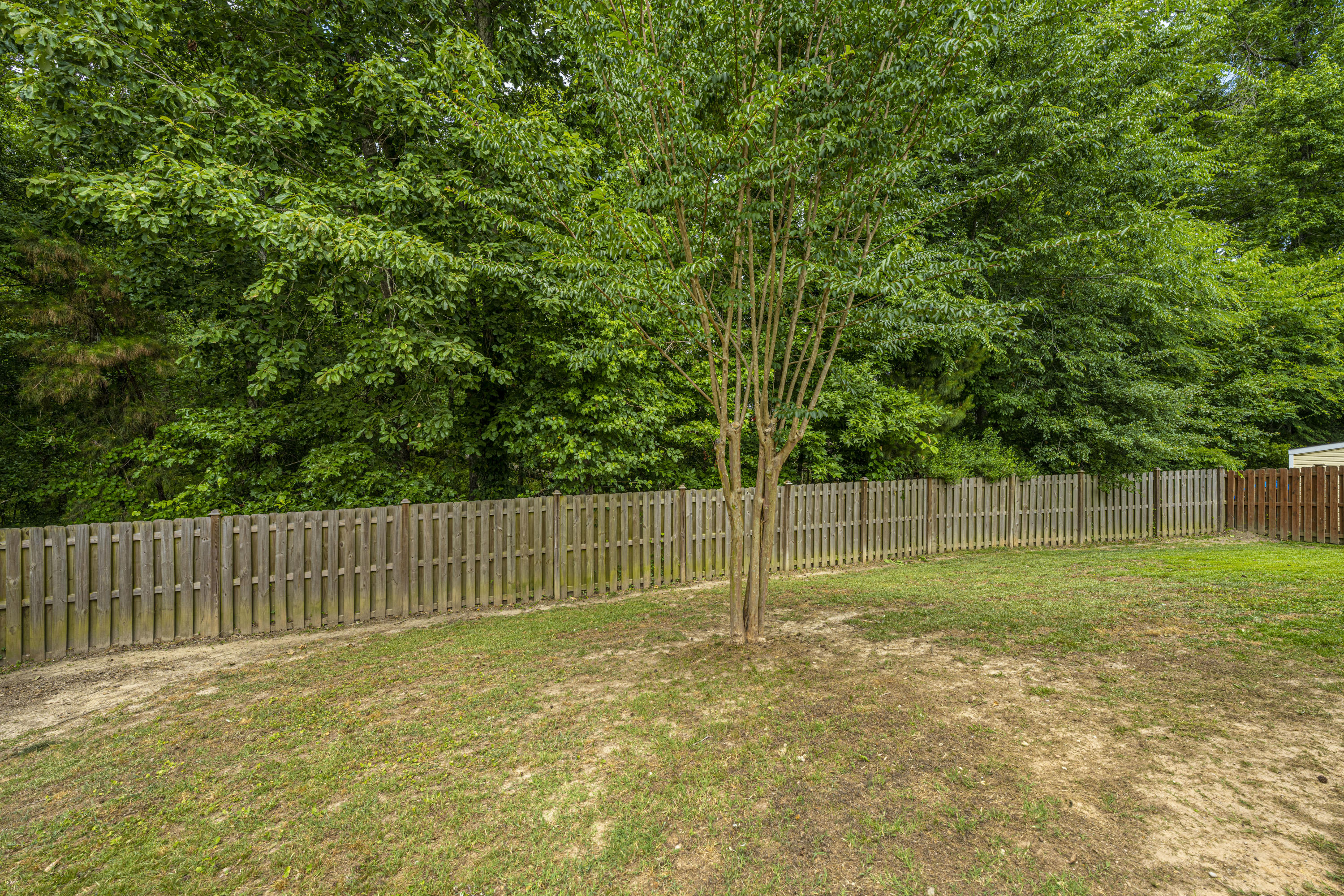 140 Avalon Road Summerville, SC 29483 - Photo 29 of 30 DSC_3224
