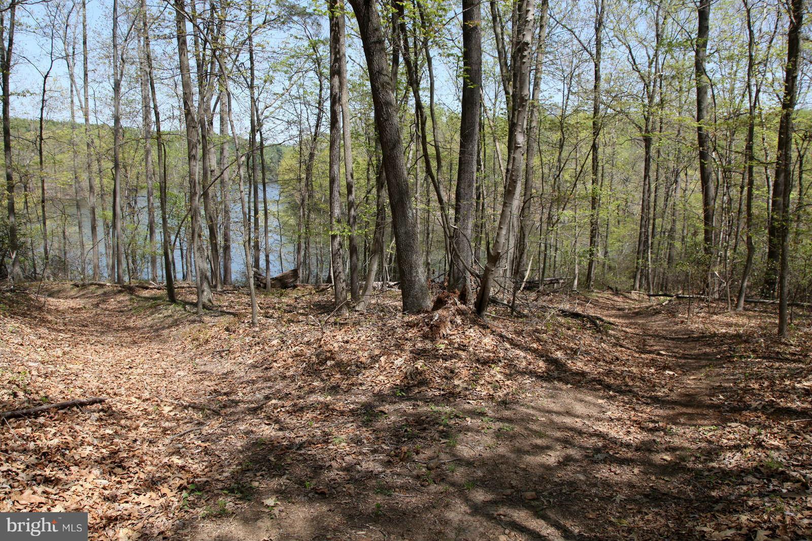 16808 Brogden Road Spencerville, MD 20868 - Photo 19 of 21 Trail to water
