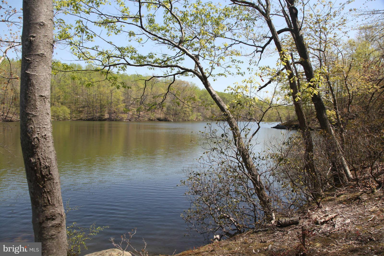 16808 Brogden Road Spencerville, MD 20868 - Photo 20 of 21 Water view from trail