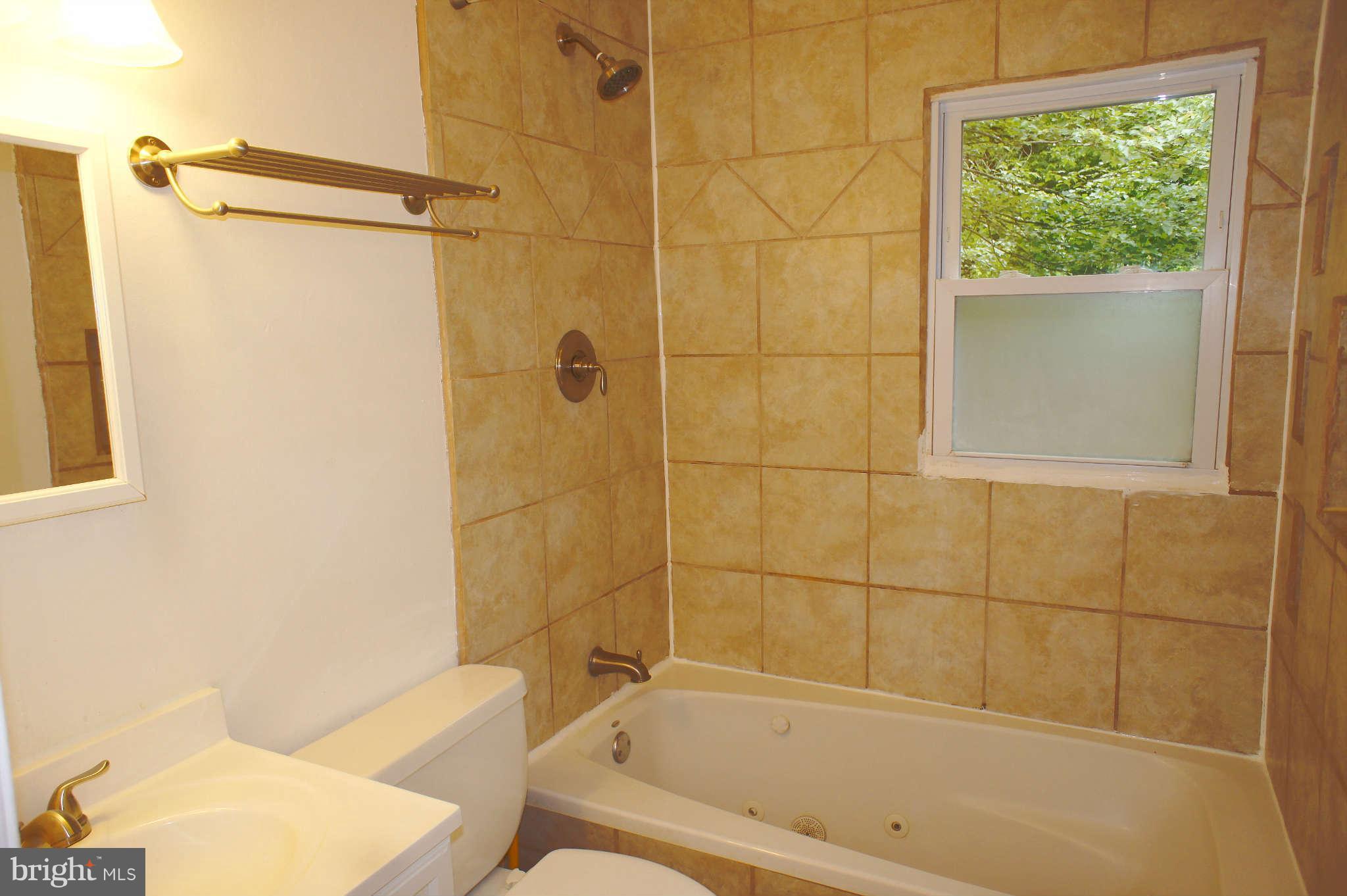 16808 Brogden Road Spencerville, MD 20868 - Photo 8 of 21 Bath
