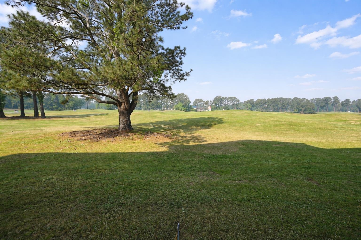 665 Tupelo Lane, Unit 17B Longs, SC 29568 - Photo 29 of 39