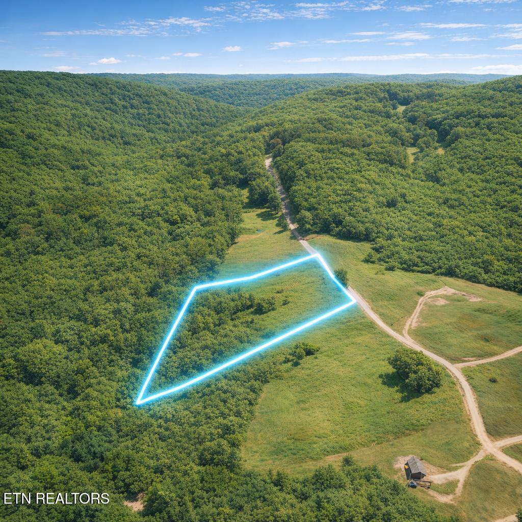 Lot 2 Honey Creek Road Allardt, TN 38504 - Photo 21 of 22 drone-72