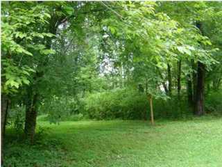 2323 Tennessee Nursery Road Cleveland, TN 37311 - Photo 1 of 1 Primary Photo