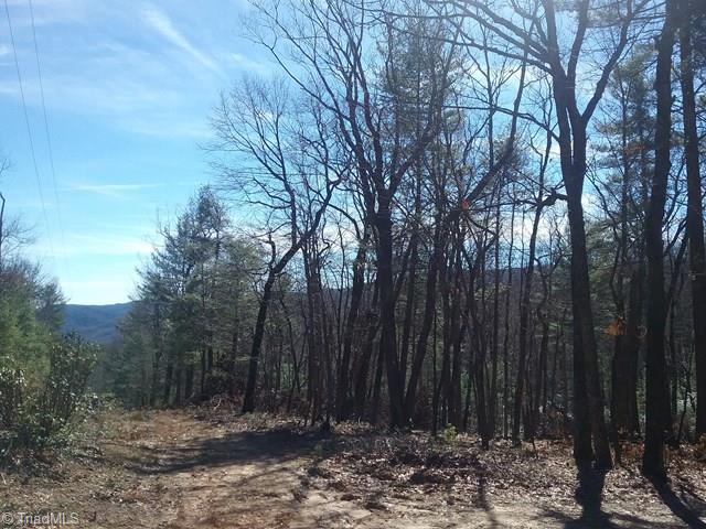 9 Laurel Road Purlear, NC 28665 - Photo 1 of 10 Main View