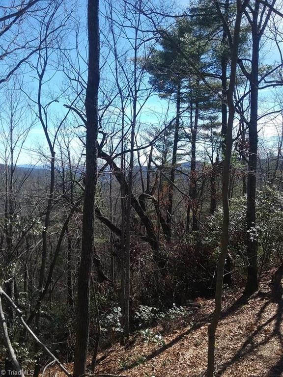 9 Laurel Road Purlear, NC 28665 - Photo 5 of 10