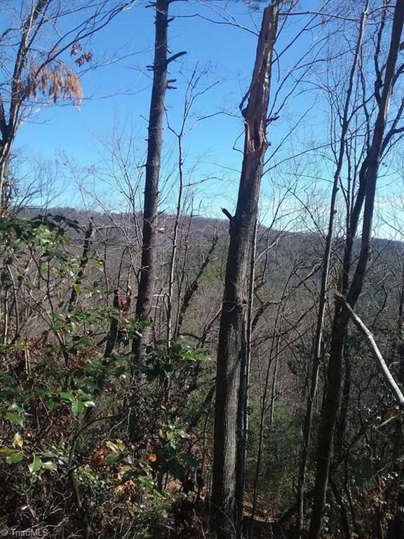9 Laurel Road Purlear, NC 28665 - Photo 6 of 10