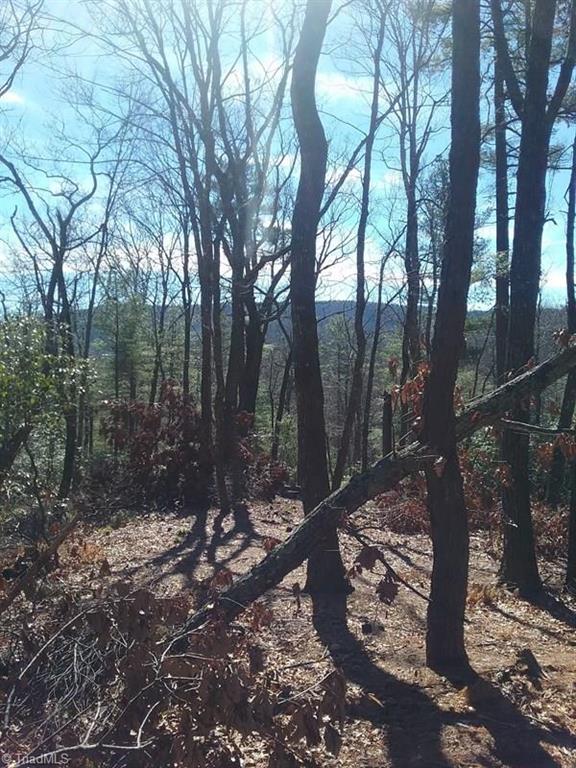 9 Laurel Road Purlear, NC 28665 - Photo 7 of 10