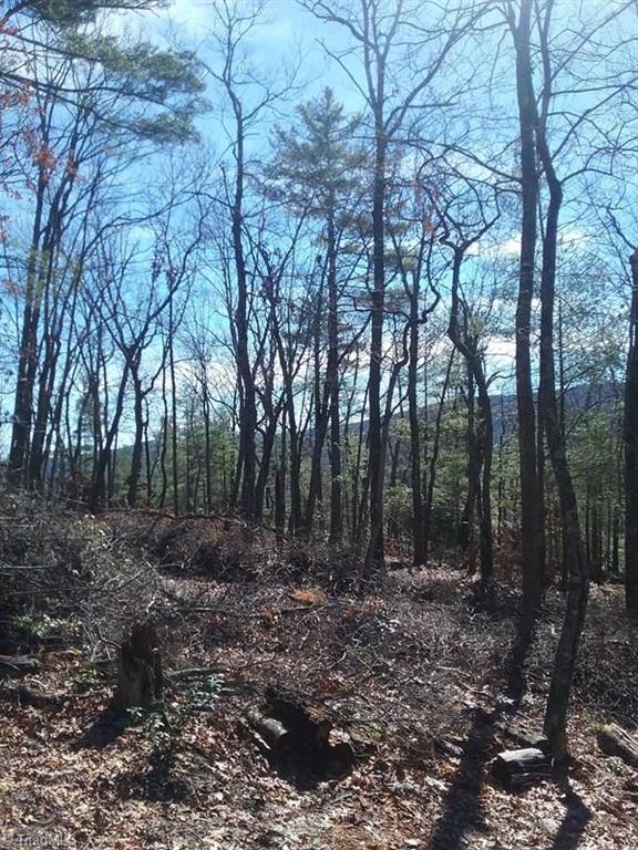 9 Laurel Road Purlear, NC 28665 - Photo 8 of 10