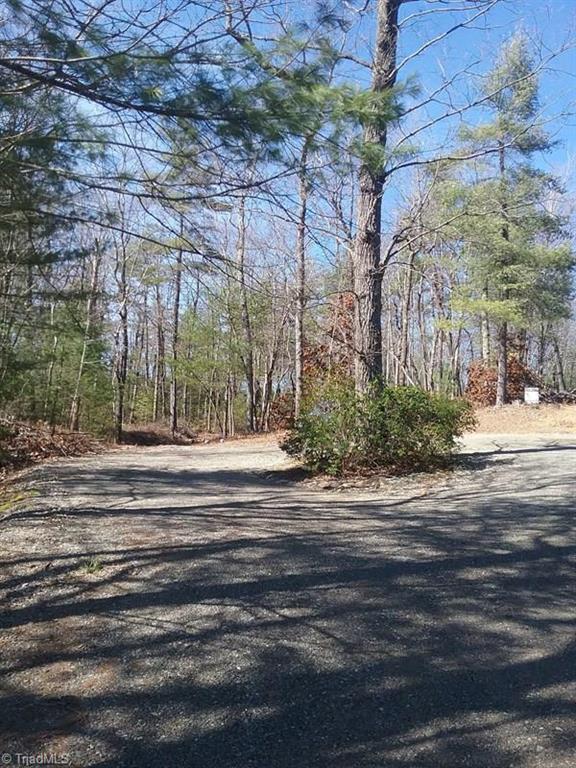 9 Laurel Road Purlear, NC 28665 - Photo 9 of 10