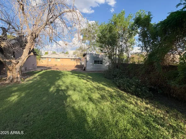 a view of a garden with a bench