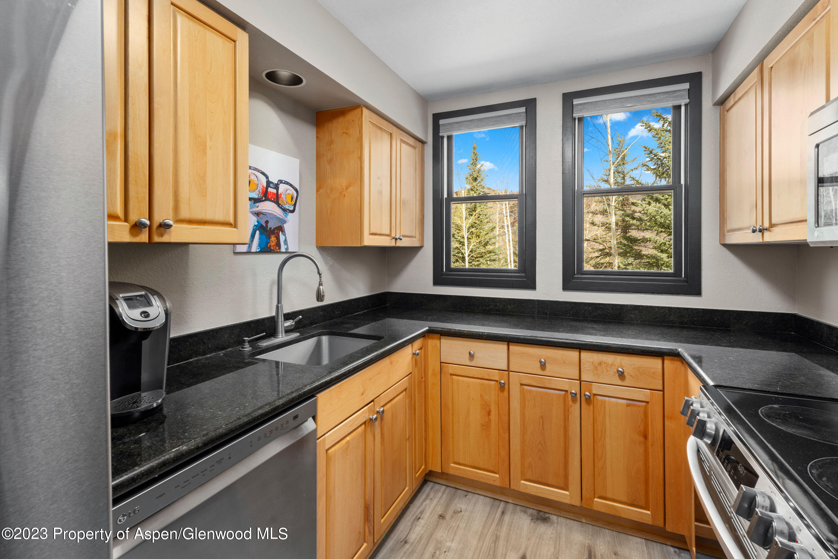 425 Wood Road, Unit 6 Snowmass Village, CO 81615 - Photo 12 of 29 a kitchen with stainless steel appliances granite countertop a sink a stove and cabinets