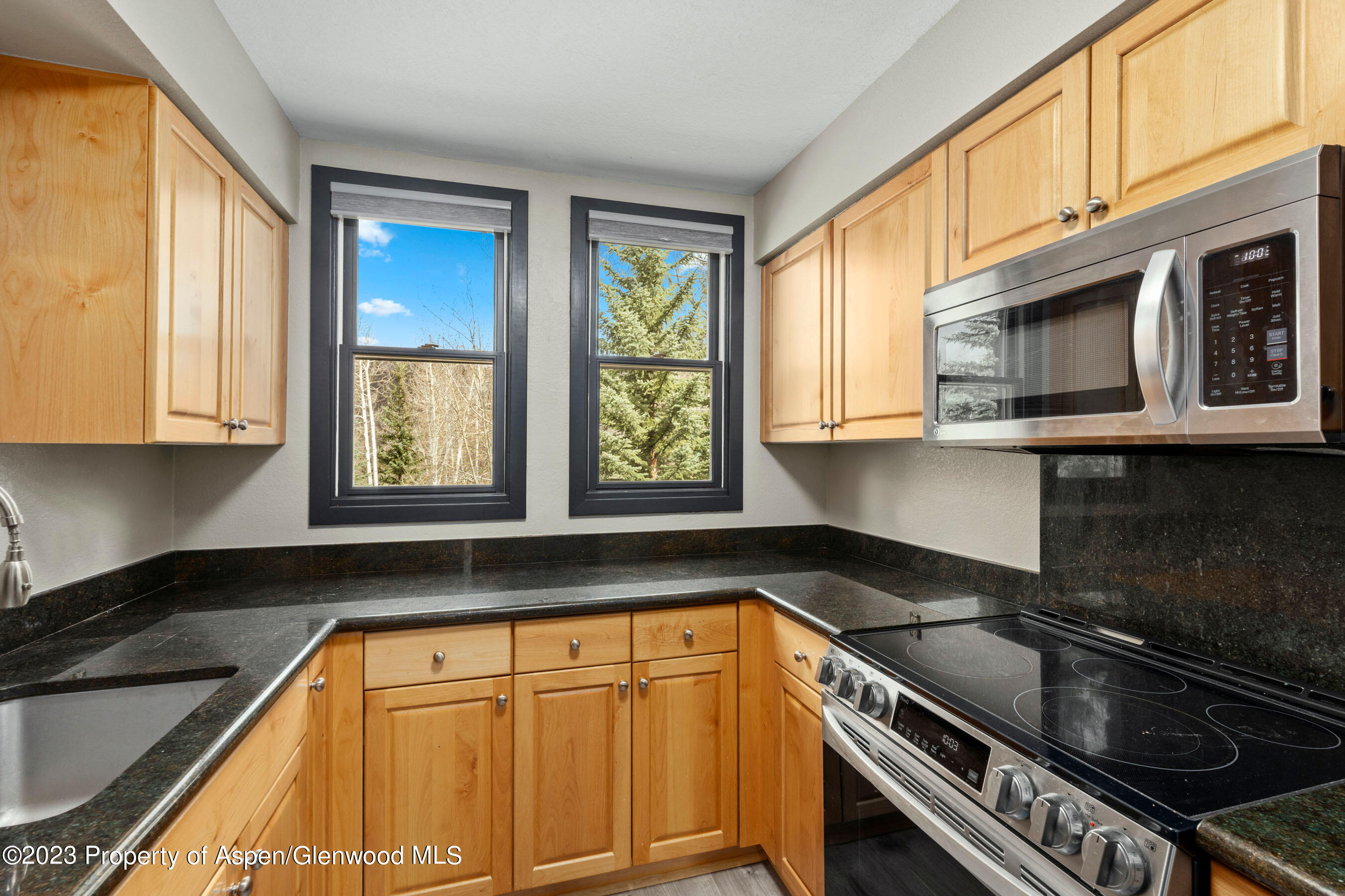 425 Wood Road, Unit 6 Snowmass Village, CO 81615 - Photo 13 of 29 a kitchen with stainless steel appliances granite countertop a stove a sink and a microwave