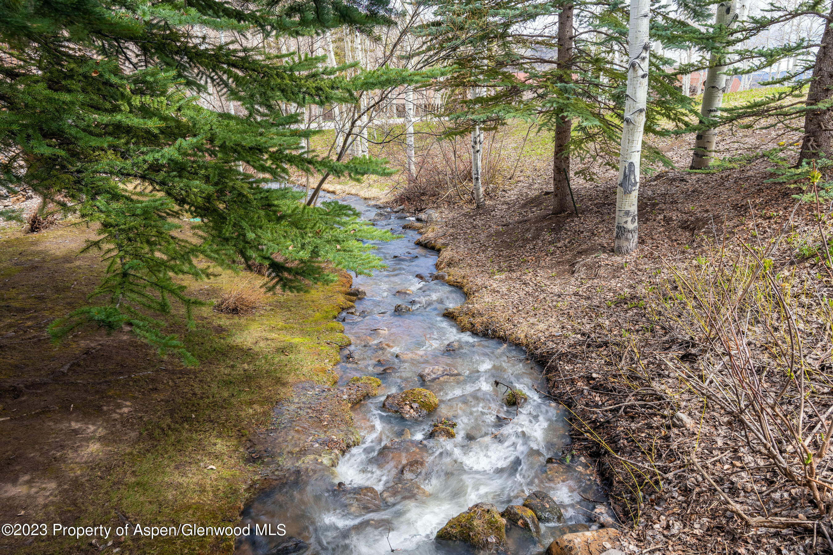 425 Wood Road, Unit 6 Snowmass Village, CO 81615 - Photo 22 of 29 a backyard of a house
