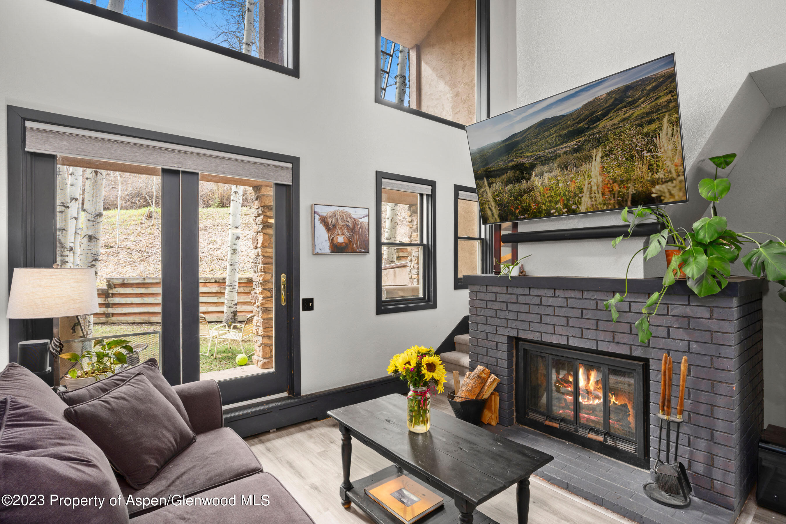 425 Wood Road, Unit 6 Snowmass Village, CO 81615 - Photo 3 of 29 a living room with furniture and a fireplace