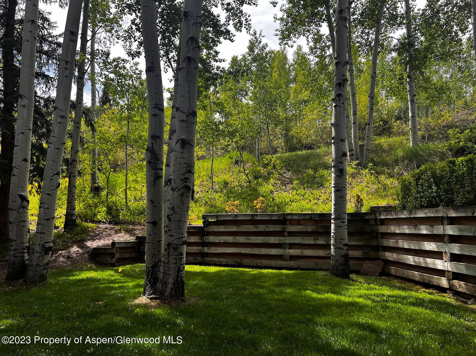 425 Wood Road, Unit 6 Snowmass Village, CO 81615 - Photo 5 of 29 a view of outdoor space and yard