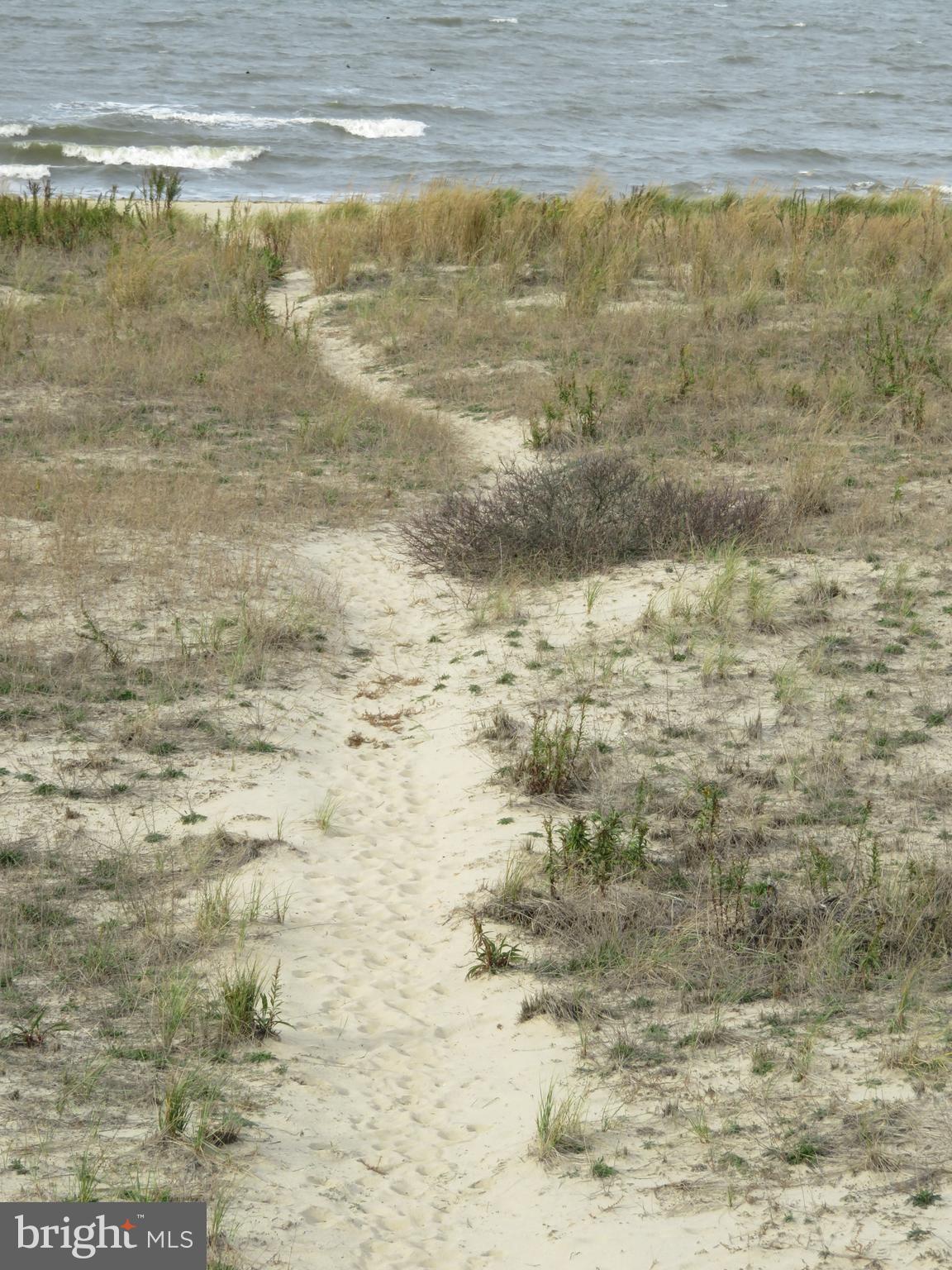 0 Pilot Point, Unit 22A Lewes, DE 19958 - Photo 35 of 42 Trail leading to beach from townhouse