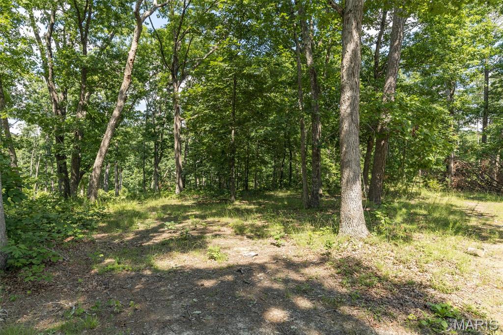10130 Fish Hook Road Potosi, MO 63664 - Photo 9 of 29