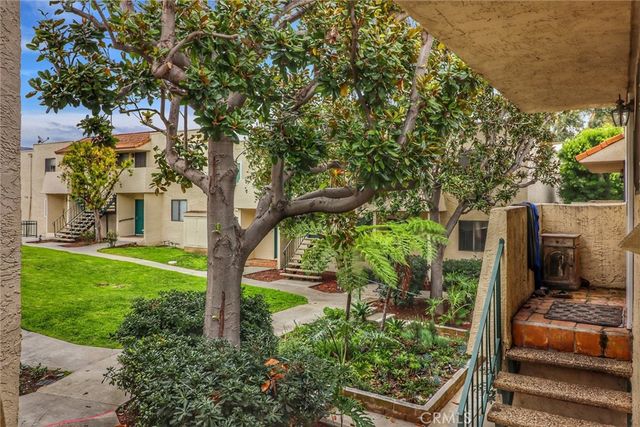 a view of a garden with large trees