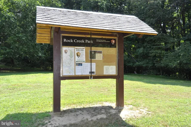 a view of a city with tall trees