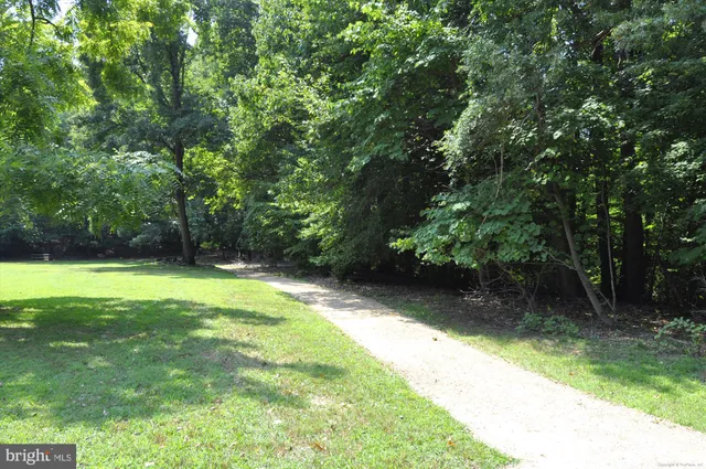 a bench is sitting in the middle of a yard