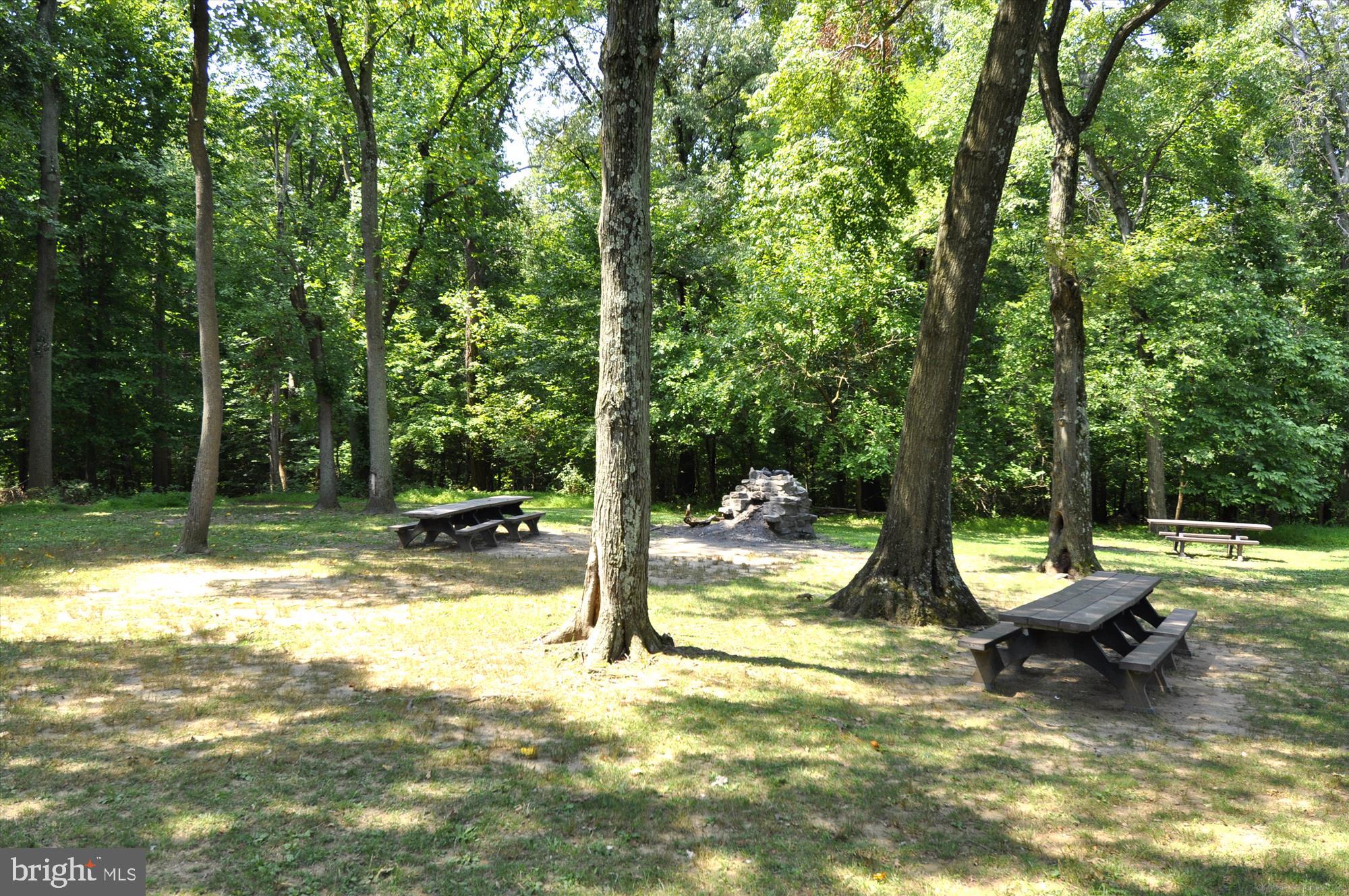 3601 Wisconsin Avenue Northwest, Unit 111 Washington, DC 20016 - Photo 35 of 82 a view of a swimming pool and lounge chairs