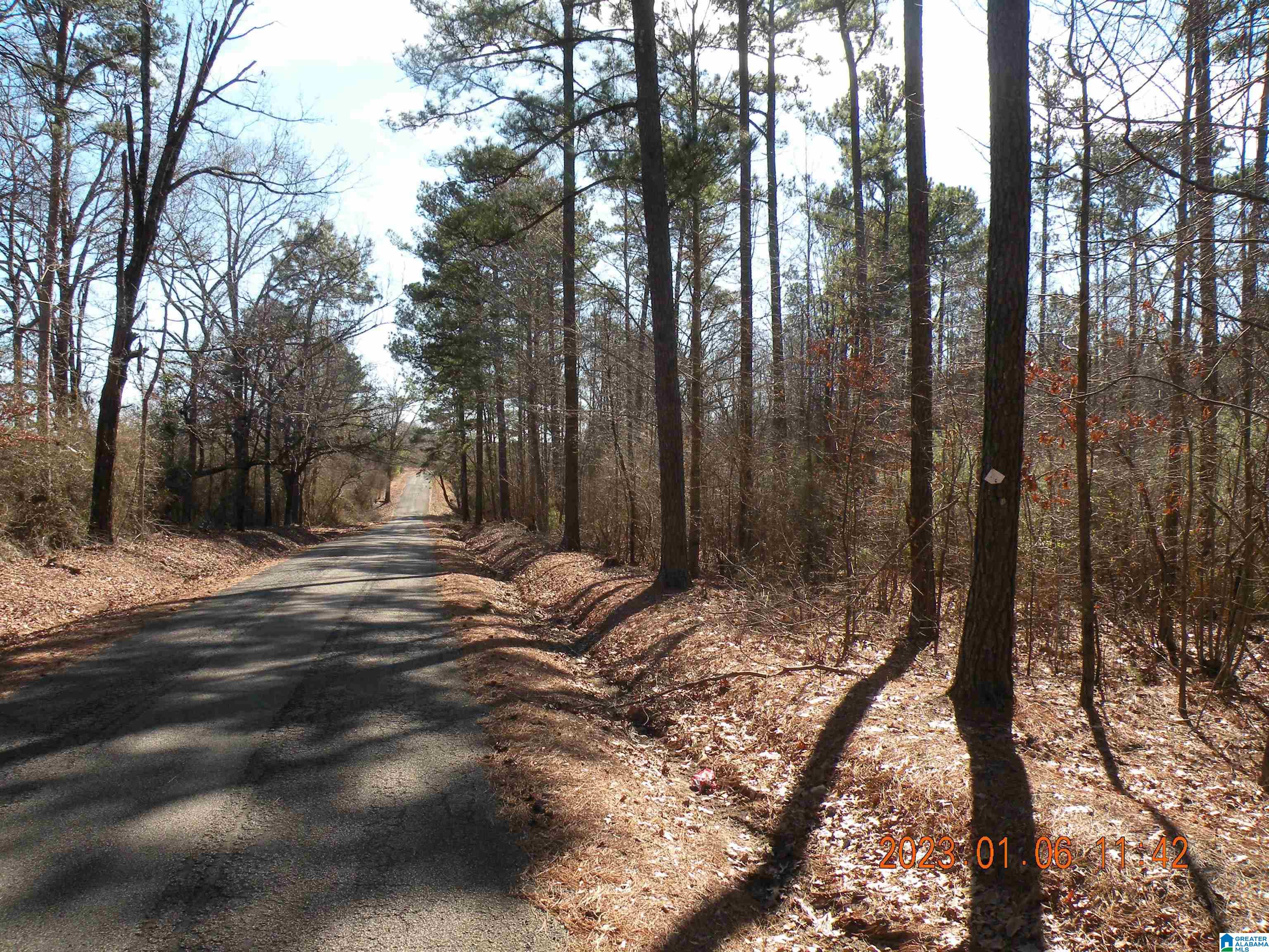 Lays Road, Unit 80 Jasper, AL 35503 - Photo 2 of 4