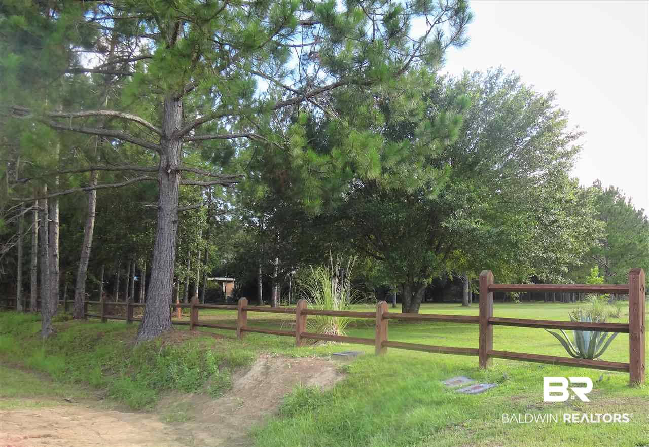 19345 3 Rivers Road Seminole, AL 36574 - Photo 2 of 8