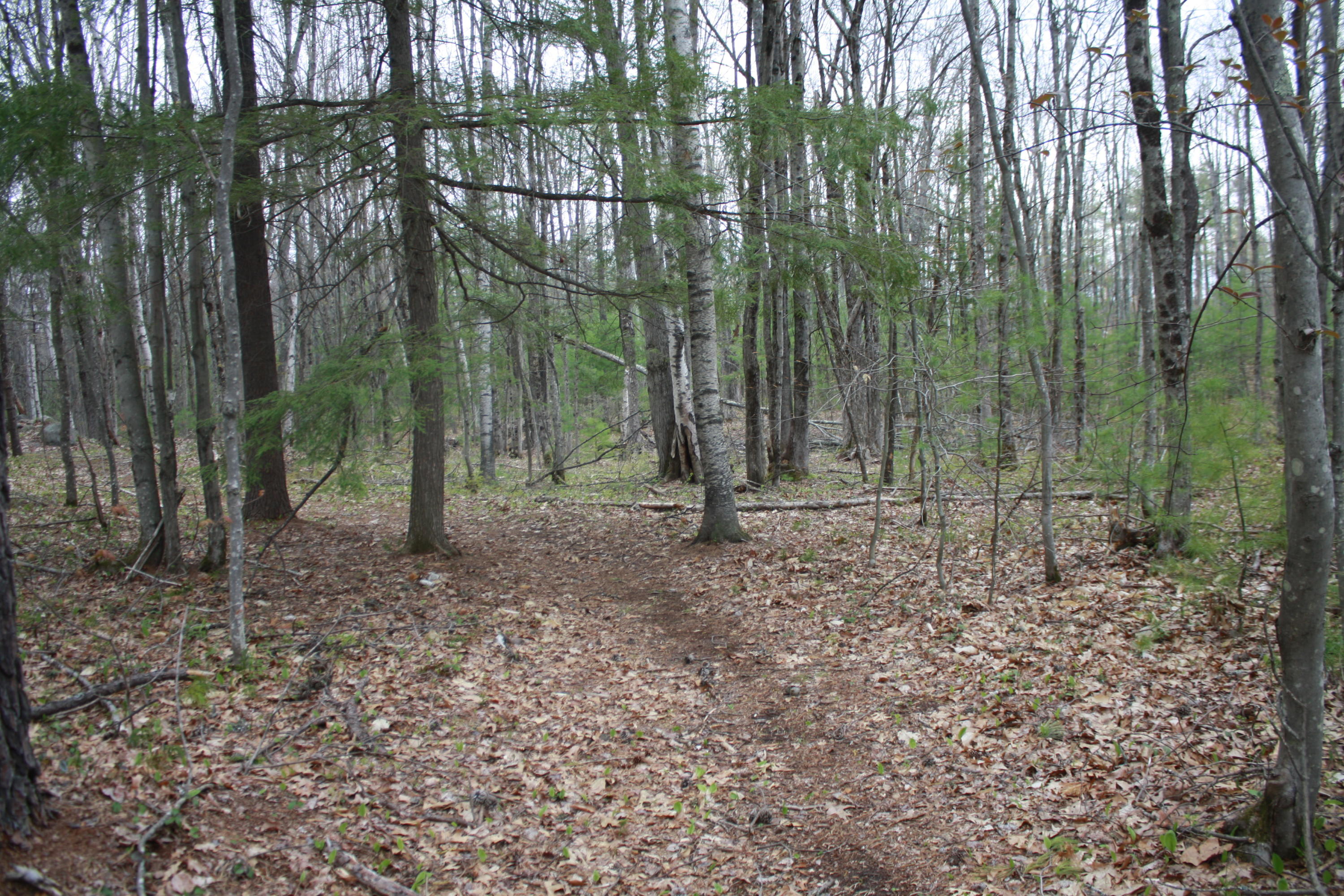 213 Townhouse Road East Waterboro, ME 04030 - Photo 91 of 127 IMG_2538