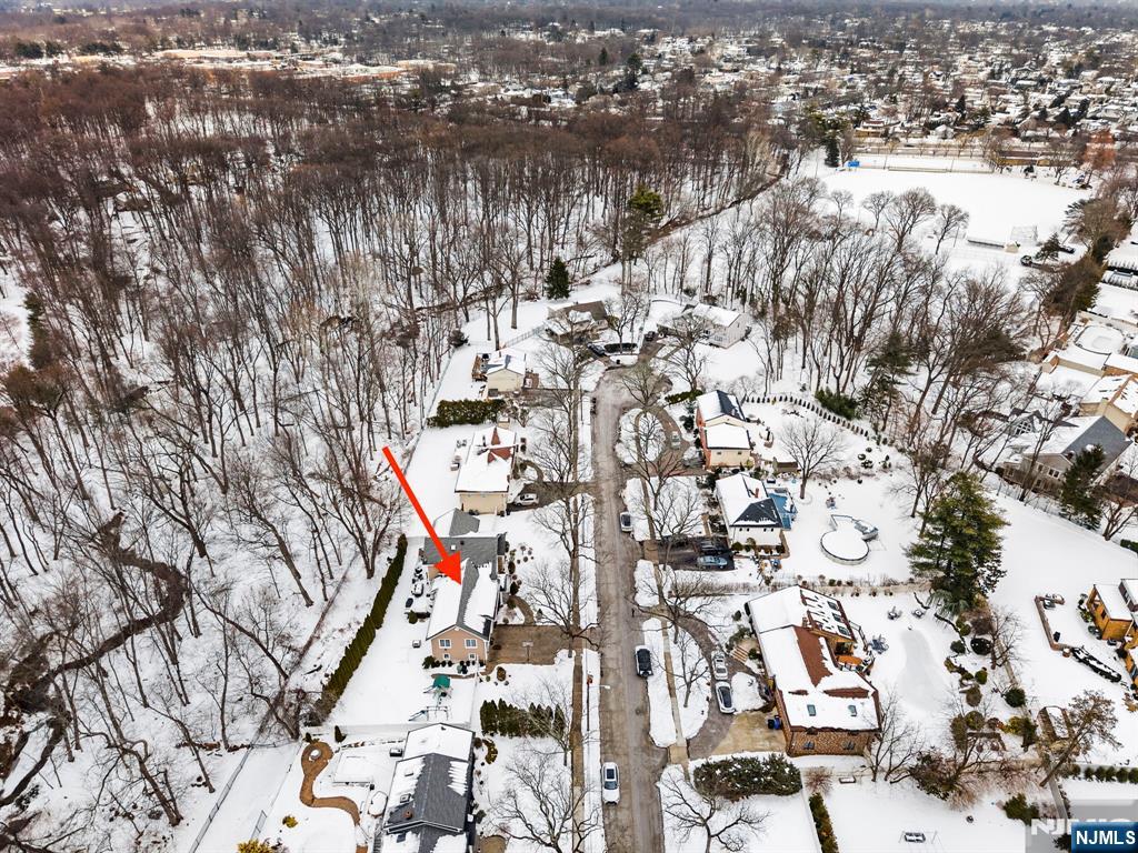 461 Arthur Terrace Paramus, NJ 07652 - Photo 48 of 50