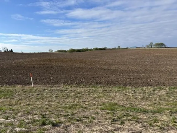 $560,000 | Tbd Tbd New Haven Northwest, Pine Island, MN 55963