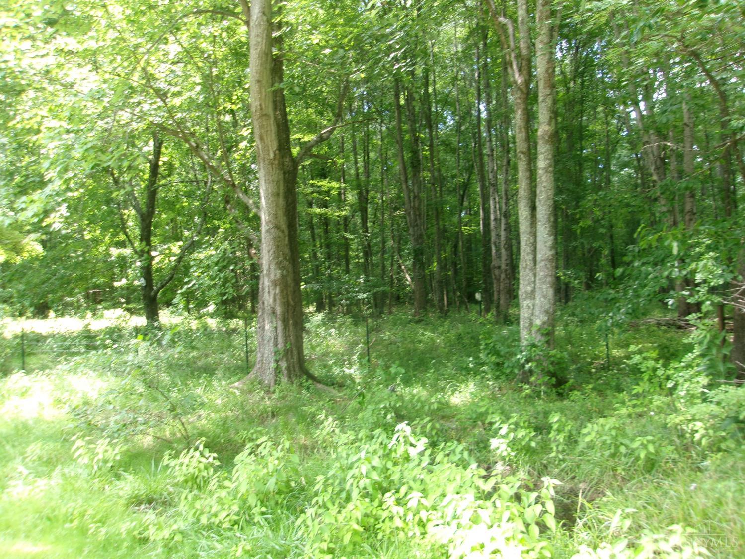 3477 Starling Road Bethel, OH 45106 - Photo 25 of 29