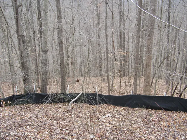 $22,000 | Lot 60 West Bobcat Lane, Wilder, TN 38589