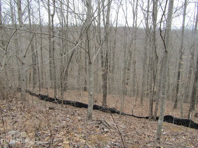 $22,000 | Lot 60 West Bobcat Lane, Wilder, TN 38589