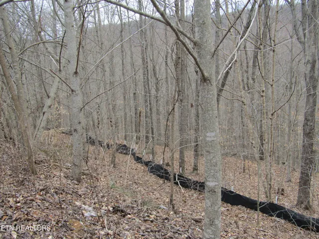 $22,000 | Lot 60 West Bobcat Lane, Wilder, TN 38589