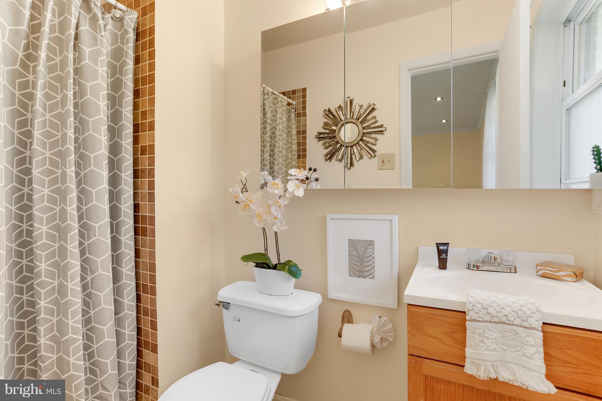 7127 Dalhouse Street Springfield, VA 22151 - Photo 14 of 30 Owner's Bath En Suite Bath with Shower