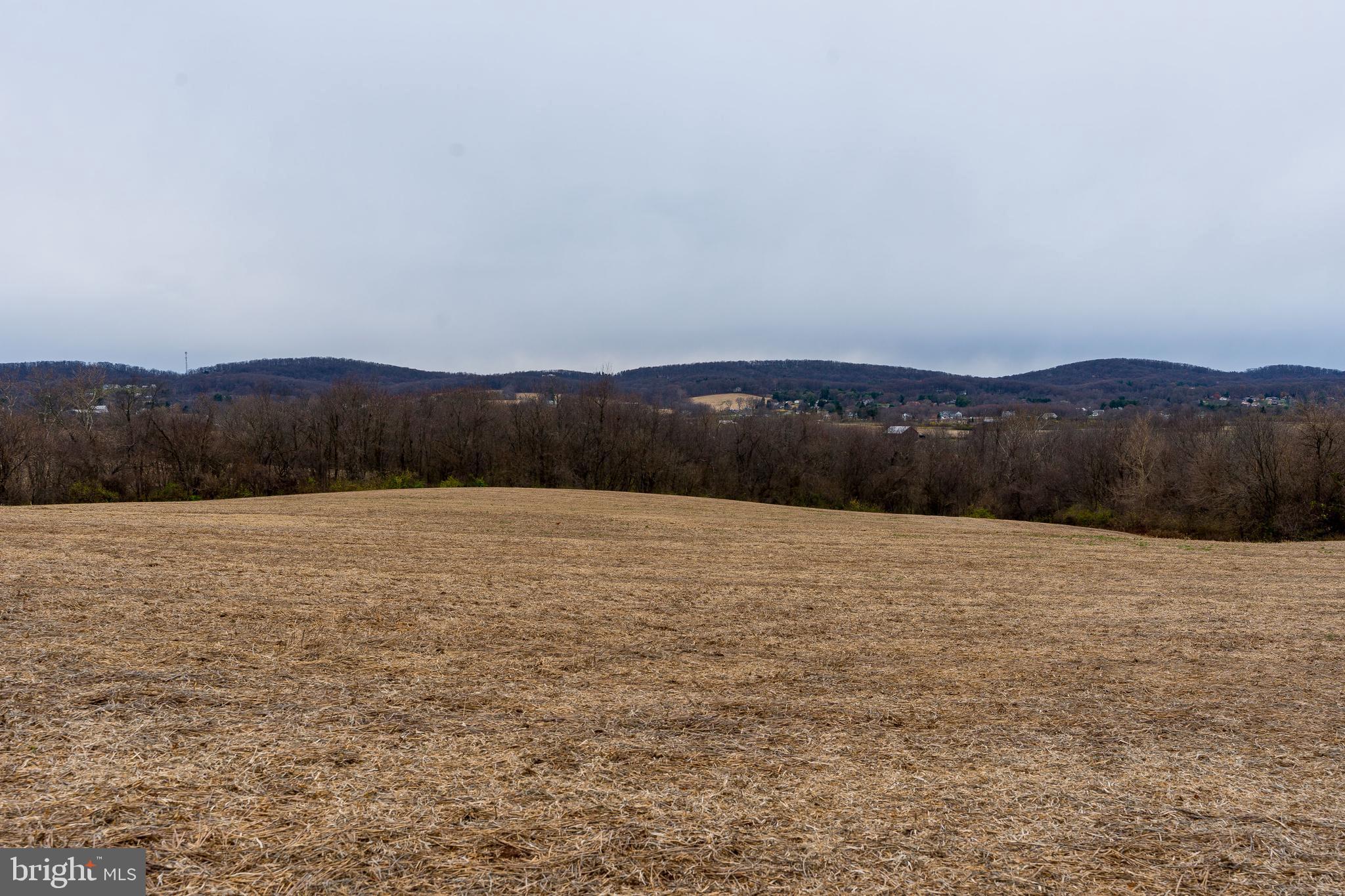 4851 Cap Stine Road Frederick, MD 21703 - Photo 38 of 38 It's so peaceful here