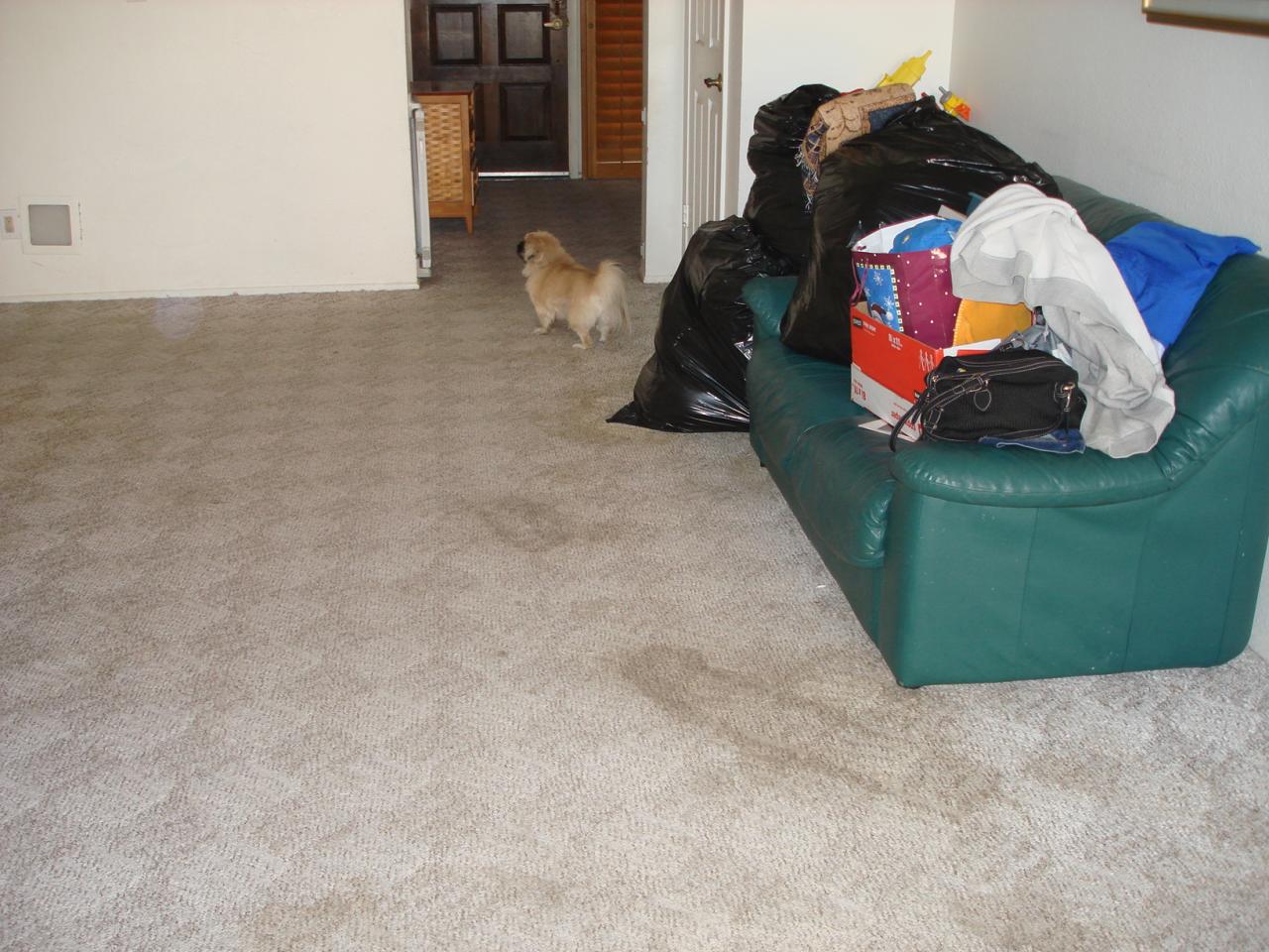 4618 East Grandview Road Phoenix, AZ 85032 - Photo 9 of 22 .