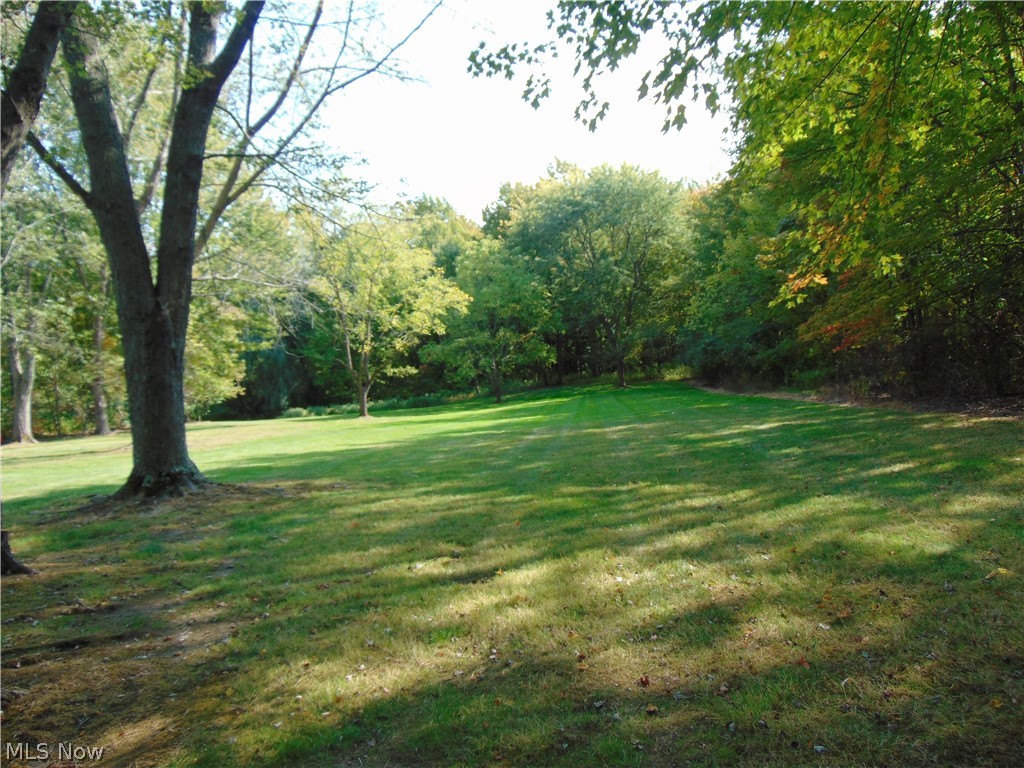 12450 Girdled Road Painesville, OH 44077 - Photo 3 of 21 Gallery Image 3