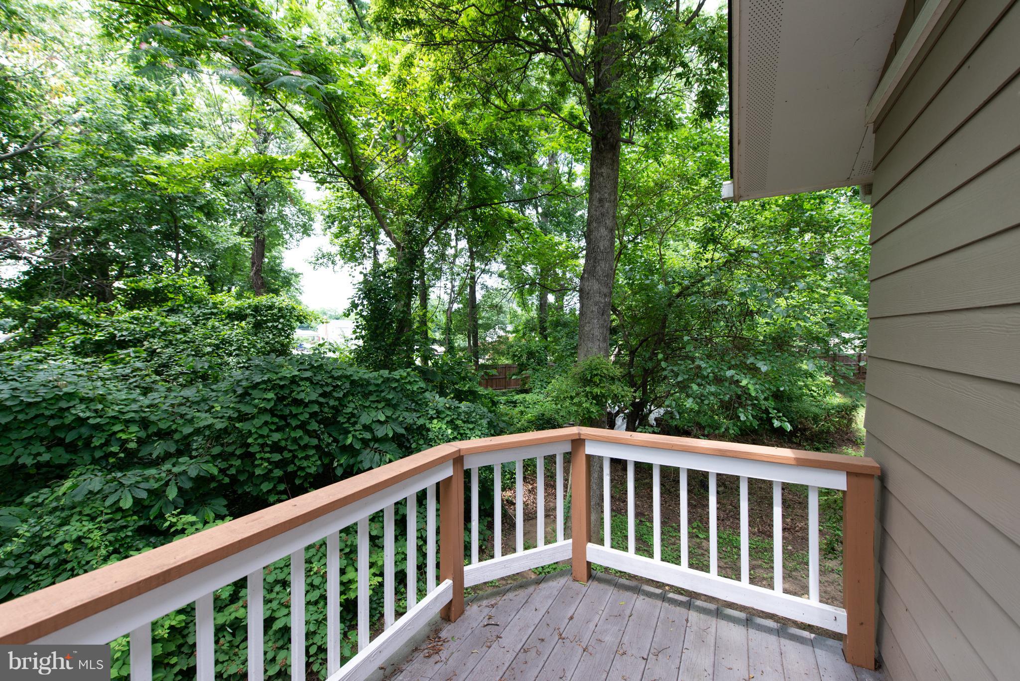 4154 Shoreham Beach Road Edgewater, MD 21037 - Photo 32 of 43 Gallery Image 32