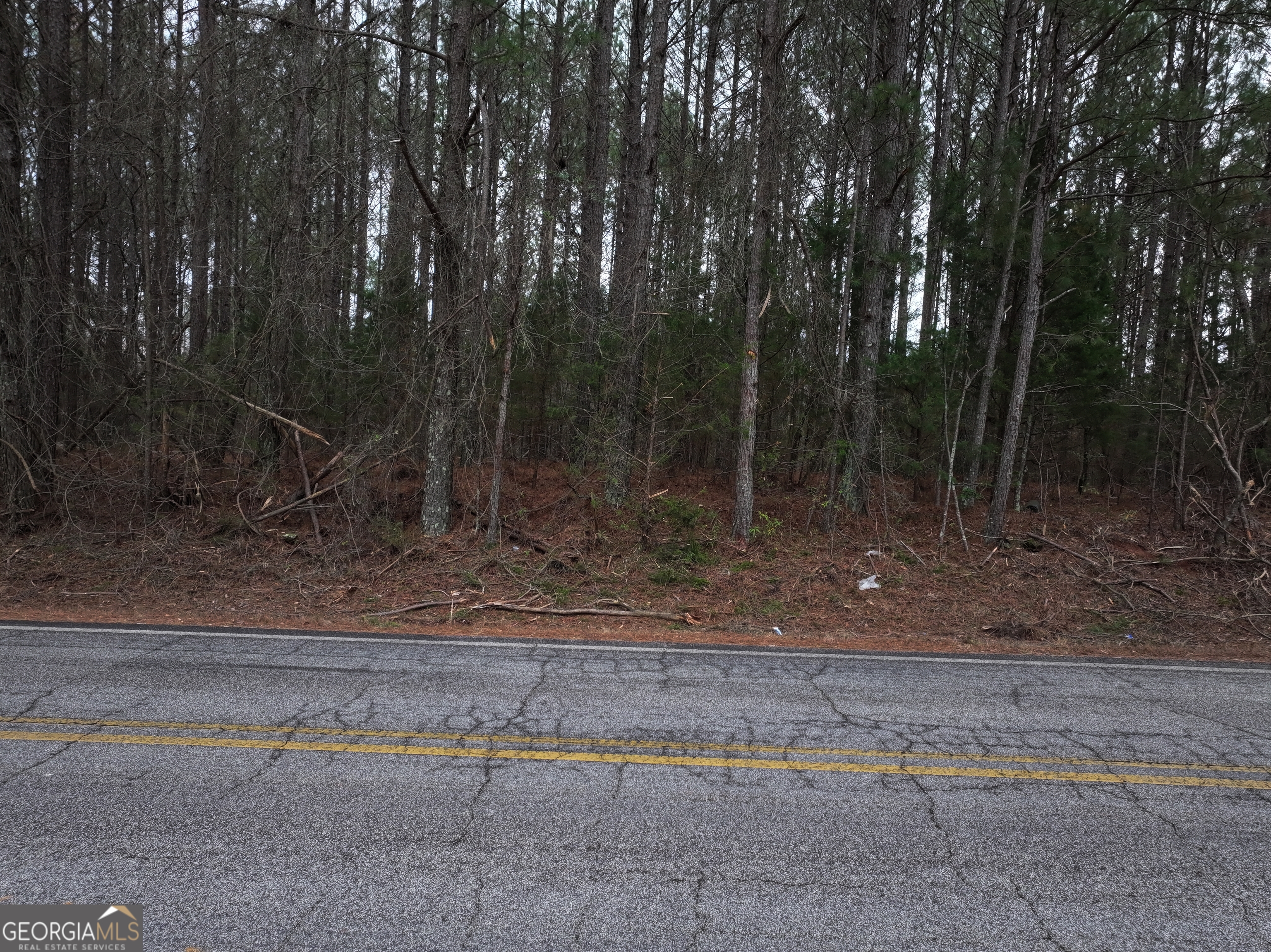 0 Victory Road, Unit LOT 5 Franklin, GA 30217 - Photo 2 of 2