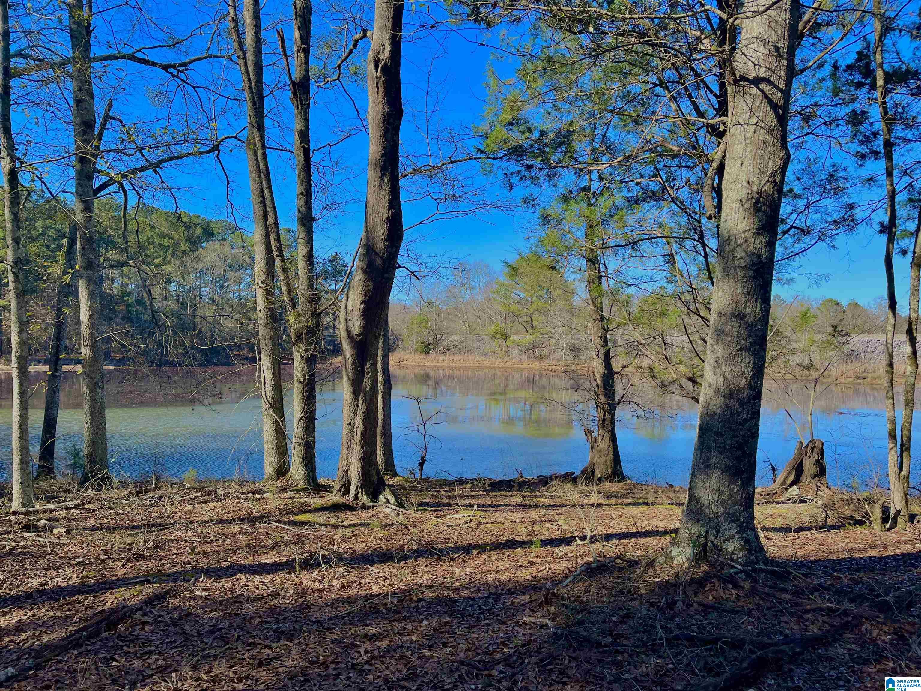 78 Highway Riverside, AL 35135 - Photo 7 of 23
