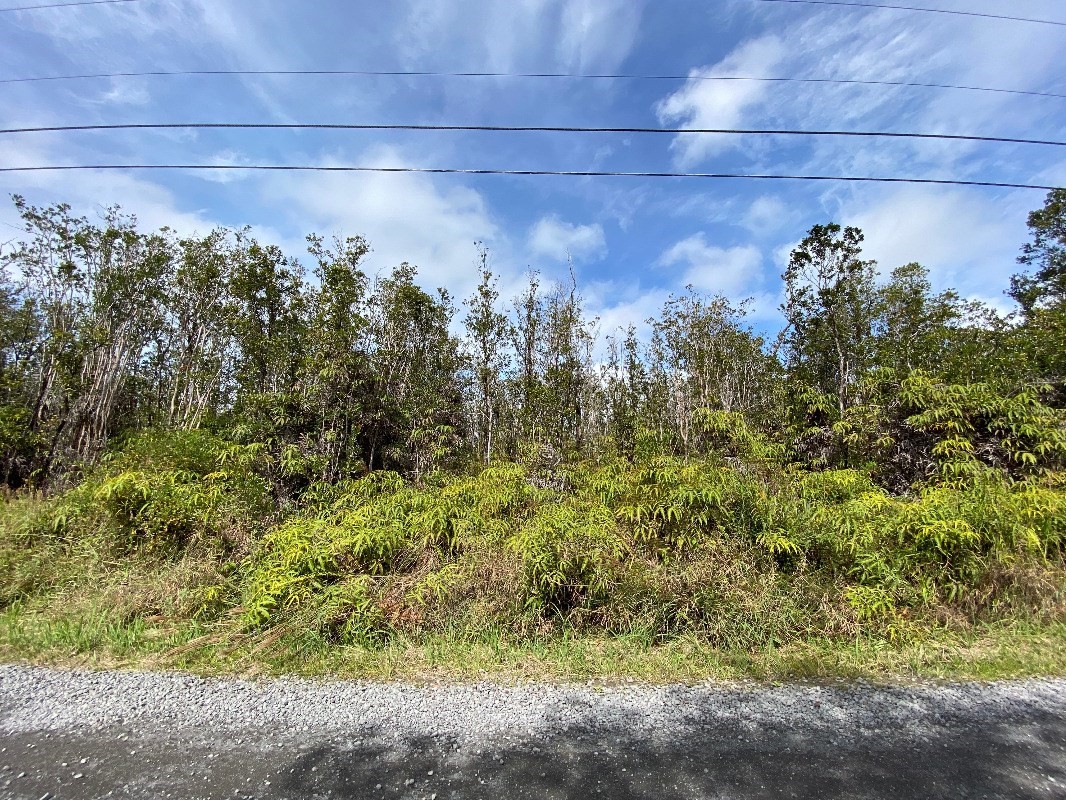 28 Makoa Road Mountain View, HI 96771 - Photo 5 of 8