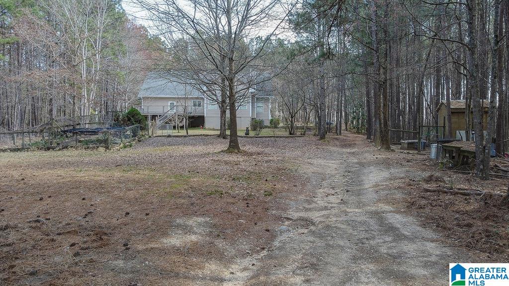 663 County Road 447 Heflin, AL 36264 - Photo 48 of 49
