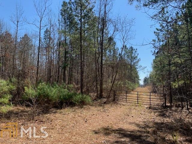 0 Black Ike Road Watkinsville, GA 30677 - Photo 1 of 1 Gallery Image 1