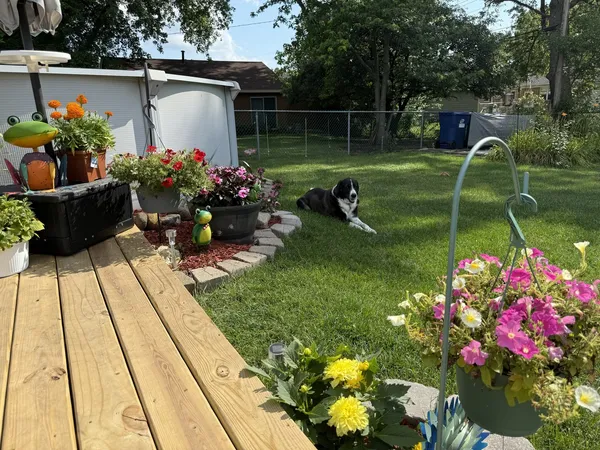 a view of a back yard of the house