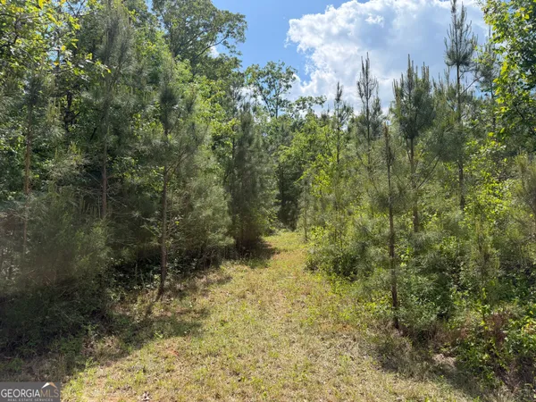 $111,903 | 77 George Milling Road, Cuthbert, GA 39840