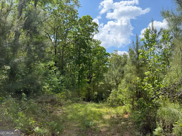 $111,903 | 77 George Milling Road, Cuthbert, GA 39840