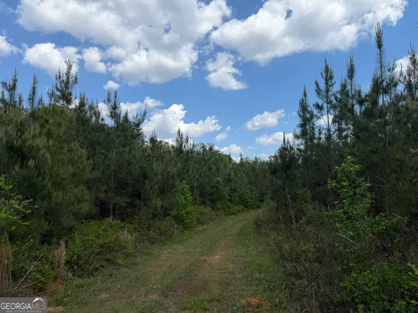 $111,903 | 77 George Milling Road, Cuthbert, GA 39840