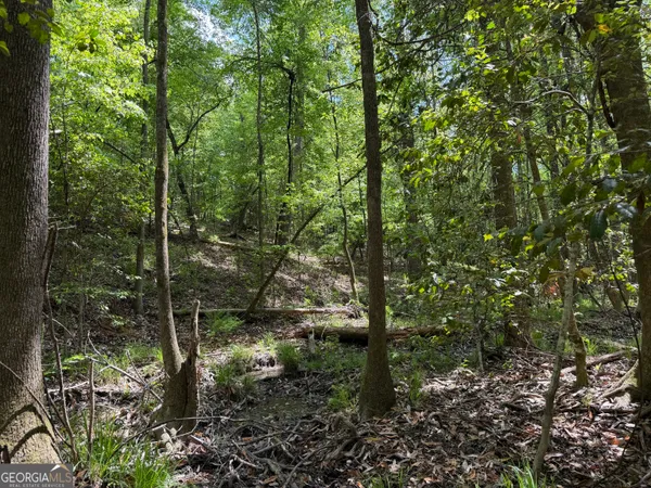 $111,903 | 77 George Milling Road, Cuthbert, GA 39840